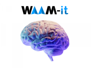 מענה חכם Waam-it